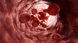 GC Biopharma's drug candidate for rare blood disorders wins FDA orphan drug designation