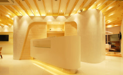 황제웅 치과 공간...자작나무가 흐르는 자리