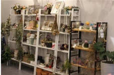 드라이 플라워, 프리저브드 플라워 전문적으로 만나는 김해 꽃집 ‘다시, 봄’