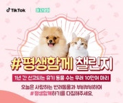 틱톡, 아지냥이와 휴가철 반려동물 유기 방지를 위한 ‘#평생함께’ 챌린지 진행