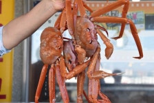 속초동명항맛집 ‘돌섬횟집’, 신선한 제철 대게 저렴하게 즐길 수 있어