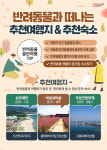 고코투어, 반려동물과 떠나는 추천여행지 공개…삼포해변, 주문진방파제, 바람새마을