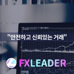 주식시장 불활 속 비트코인 마진거래 수요 대폭 상승, FX리더 전문가 견해