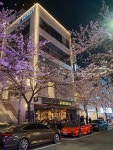 [포토뉴스] 서울의 5대 벚꽃명소 중 하나, 합정역 5번 출구 홍대솔내길