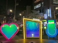 [포토뉴스] 서울의 5대 벚꽃명소 중 하나, 합정역 5번 출구 홍대솔내길