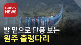 단풍과 스릴을 한번에…원주 소금산 출렁다리