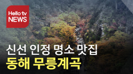 신선이 놀다 간 동해 무릉계곡…비경에 탄성
