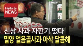 신선한 사과, 자판기에서 뽑아 먹어요