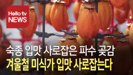 숙종의 입맛 사로잡은 함안 파수 곶감 납시오