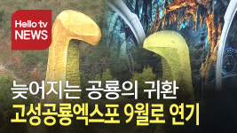 코로나19 우려…전국 최대 공룡엑스포 연기