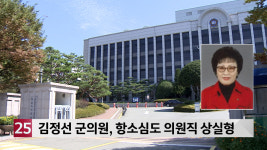 김정선 함안군의원, 항소심도 의원직 상실형