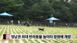영남권 최대 반려동물 놀이터 창원에 개장