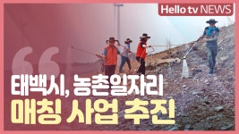 [정책브리핑] 태백시, 농촌일자리 매칭 사업 추진