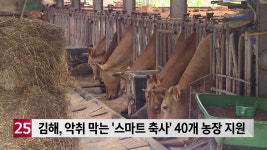 김해 40개 농장 스마트 축사 …축사 악취 막는다