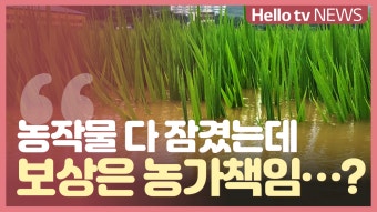 집중호우에 농가 피해 급증…보상도 '막막'