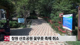 창원 산호공원 꽃무릇 축제 취소