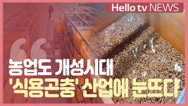 [농어업 특집] 농업도 개성시대…식용곤충 산업에 눈뜨다