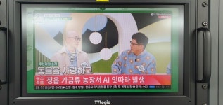 정읍 가금류 농장서 AI 잇따라 발생...방역 비상