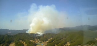 21일 안동시 도산면 산불, 3시간 반 만에 주불 잡아