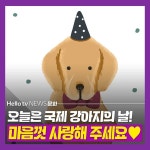 [카드뉴스] 오늘은 국제 강아지의 날! 마음껏 사랑해 주세요♥