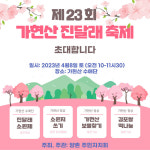 김포 가현산 진달래 축제 다음 달 8일 개최