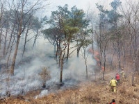 [속보]영월군 김삿갓면 예밀리 산불 발생, 임차헬기 출동 요청 중