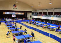 생활체육 탁구 고수 영양군에 모이다… 일월산 전국 오픈 탁구 대회 개최