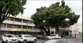 홍성군, 신청사 시공 업체 선정 절차 돌입