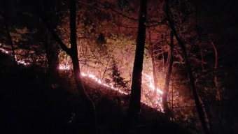 영양군 입암면 산불…한 시간여 만에 진화