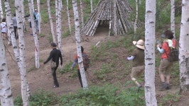 인제군 자작나무 숲, 5월 3일 개방
