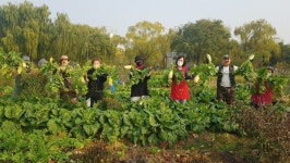 돌봄 노인 대상 부천 치유농장, 오는 11월까지 운영