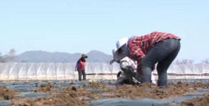 고창군 농촌 인력 적정 인건비 운영 조례 제정