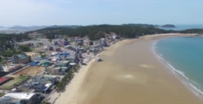 충남도, 태안 만리포해수욕장 등 피서지 물가 점검