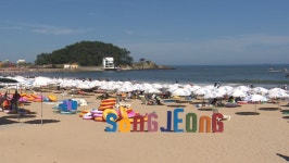 여름철 송정해수욕장, 안전 실태는?