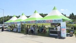 축제 취소에도 봉화 은어 인기… 15톤 완판