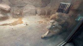 지난 주말부터 김해 부경동물원 운영 중단