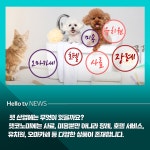 [카드뉴스] 늘어나는 펫팸족, 커져가는 펫코노미 시장