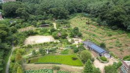 [기획] 늘고 있는 도심 텃밭…진화하는 도시 농업