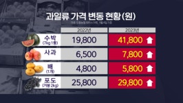 수박 한 통 4만 원…장보기 겁나요
