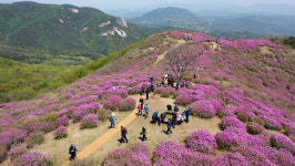 합천 황매산 황매정원 대한민국 조경 문화체육관광부 장관상 수상