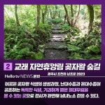 [카드뉴스] 걷기 좋은 명품숲길 BEST 5