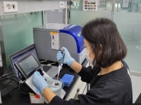 경기도, 한우 81건 유전자 검사… 비한우 1건 적발