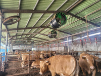 대구농업기술센터, 축사 전용 환기팬 설치 지원
