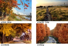 가을 정취 물씬…서울 단풍길 99선 선정