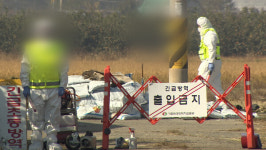 경남도 럼피스킨병 접종 시작…10일까지 완료