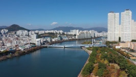 [기획] 도심 속 강 따라 단풍 여행… 부산 갈맷길 8코스