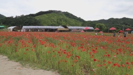 원주시, 봄 가을 집중된 축제 분산 개최