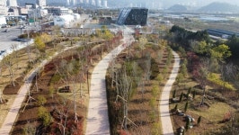 광양시, 전남도립미술관 주변 도시 바람길 숲 조성
