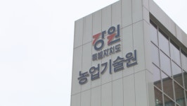 강원 농업기술 예산 대폭 삭감…도의회 예산 증액 해야