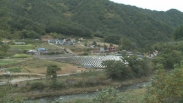 영월 산솔마을, 산불에 강한 마을 가꾸기 우수마을 선정